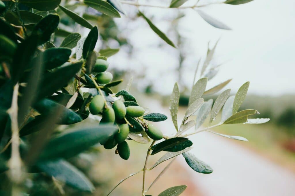 unsplash image lIuxlN0zSjs