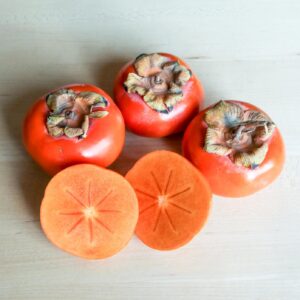 persimmon