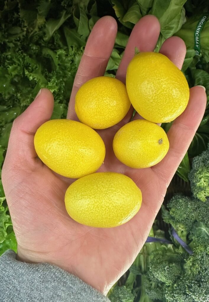 LEMONQUAT e1705693960956