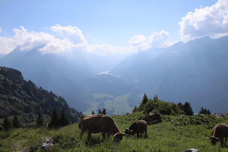 heubodon