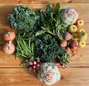 SFF 3.21.24 e1711038115760