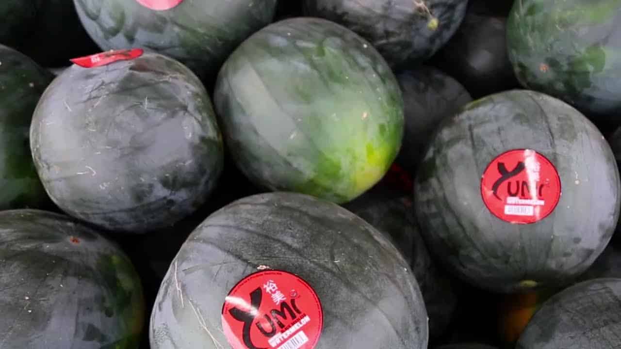 Yumi Watermelon || Liberty Heights Fresh
