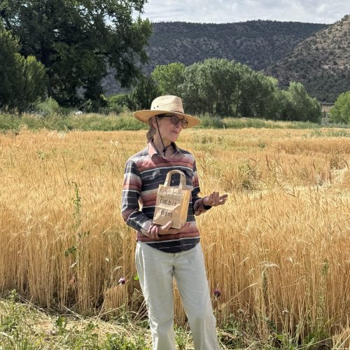 92EA992F-44D2-4264-A804-C94EA37846B1